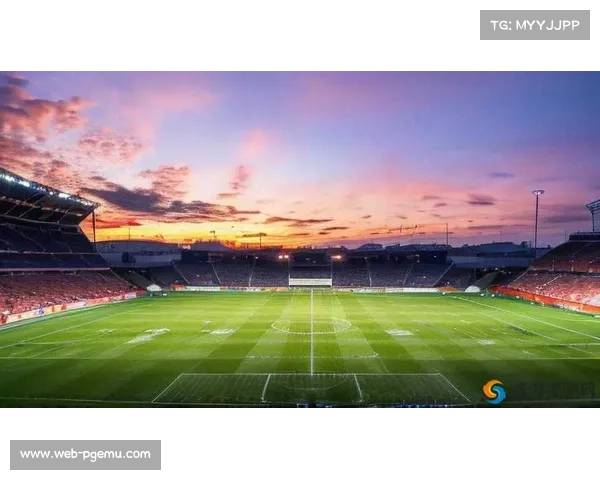 足球纪录片斩获国际大奖 展现运动激情与艺术魅力