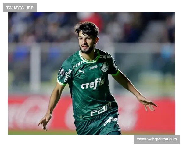 那不勒斯提高报价求购阿兰，帕尔梅拉斯拒绝出售